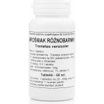 Podkowa Extrakt z hroznovce obecného 400 mg 60 tablet – Hledejceny.cz