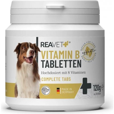 Reavet Vitamín B tablety s osmi základními vitamíny B 120 ks – Hledejceny.cz