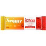 Twiggy Proteinová tyčinka 40 g – Zboží Dáma