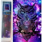 Norimpex Diamantové malování Magická sova 30 x 40 cm – Hledejceny.cz