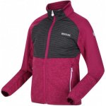 Regatta RKL107 Oberon IV U9J dětská mikina fialová – Sleviste.cz