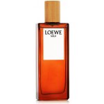 Loewe Solo toaletní voda pánská 50 ml – Hledejceny.cz