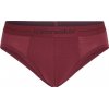 Boxerky, trenky, slipy Icebreaker Mens Anatomica Briefs Port