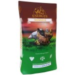 Energys Nosnice Repro 25 kg – Hledejceny.cz