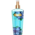 Victoria´s Secret Aqua Kiss tělový sprej 250 ml – Hledejceny.cz