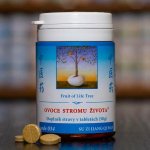 TCM Herbs Ovoce stromu života 100 tablet – Hledejceny.cz