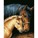 Norimpex Diamantové malování Klisna s hříbětem 30 x 40 cm – Zboží Mobilmania