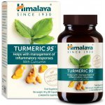 Himalaya Herbals Himalaya Turmeric 95 kurkumin extrakt 60 vegan kapslí – Hledejceny.cz