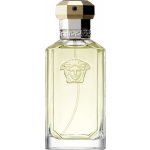 Versace The Dreamer toaletní voda pánská 100 ml tester – Hledejceny.cz