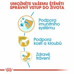 Royal Canin Dachshund Puppy 1,5 kg – Zboží Dáma