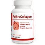 Dolfos ArthroCollagen přípravek na klouby kolagen typu II 90 ks. – Hledejceny.cz