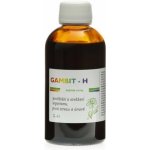 Dědek kořenář Novy Gambit H 200 ml – Hledejceny.cz