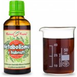 Pavlovy bylinné směsi metabolismus 50 ml – Zboží Mobilmania