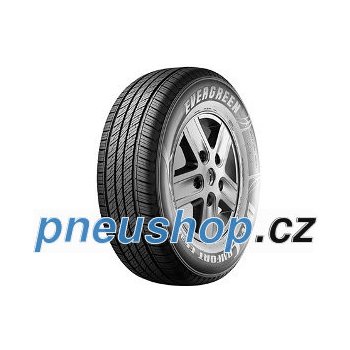 Pneumatiky Evergreen ES380 255/65 R17 110H