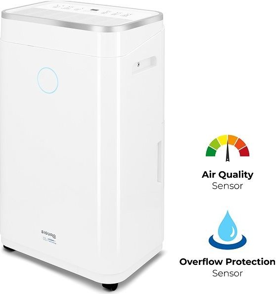 Siguro DH-P300W