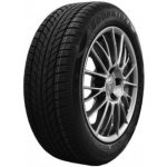 Goodride SW608 215/50 R17 95V – Hledejceny.cz