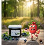 Grešík Džem Z lesních borůvek extra speciální 220 g – Sleviste.cz