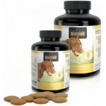 Belcando Vital Tabs 40 tbl – Hledejceny.cz
