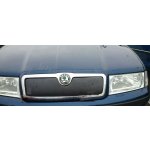 Škoda Octavia I 00-10 Zimní clona | Zboží Auto