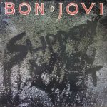 Bon Jovi - Slippery When Wet LP – Zboží Mobilmania