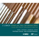 Bach Johann Sebastian - Erhalt Uns, Herr, Bei Dei CD – Hledejceny.cz