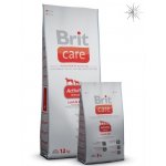 Brit Care Adult Activity All Breed Lamb & Rice 1 kg – Sleviste.cz