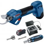 Bosch GGP 12V-25 06008D8100 – Zboží Mobilmania