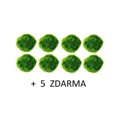 Cladophora aegagropila - Mechová koule 13 ks – Sleviste.cz