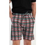 Vienetta MAN pánské pyžamové šortky Paul: tmavě zelená – Zboží Dáma