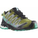 Salomon XA Pro 3D v8 GTX M L41629100 green Moss/Mint Leaf/Trooper – Hledejceny.cz