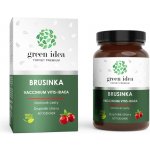 Green idea Brusinka obecná bylinný extrakt 60 kapslí – Hledejceny.cz
