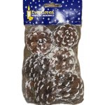 EverGreen Vánoční dekorace zasněžené šišky 6 ks – Zboží Dáma