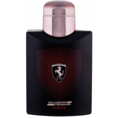 Ferrari Scuderia Ferrari Black parfémovaná voda pánská 125 ml tester – Zbozi.Blesk.cz