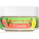 Bione Cosmetics Cannabis balzám na ztvrdlou pokožku na paty 150 ml