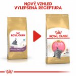 Royal Canin British Shorthair Kitten 400 g – Hledejceny.cz