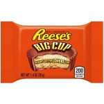 Reese's Peanut Butter Cups 39 g – Hledejceny.cz