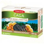 Čaga Reishi Rakytník antioxidant 60 kapslí – Hledejceny.cz