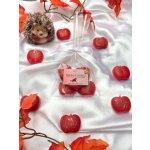 V & T Handmade Vonný vosk Jablko & skořice 45 g – Hledejceny.cz