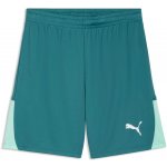 Puma TEAMLIGA 26 SHORTS Zelená Světle zelená Bílá XL – Hledejceny.cz