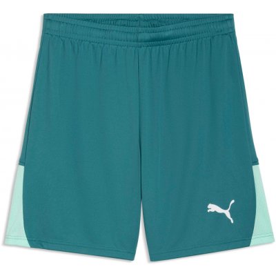 Puma TEAMLIGA 26 SHORTS Zelená Světle zelená Bílá XL – Hledejceny.cz