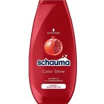 Schauma Color šampon pro lesk barvy 250 ml – Zboží Mobilmania