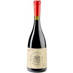 Wine people Kvevri červené Black Muskat 2020 Wine People suché 11,4% 0,75 l (holá láhev) – Hledejceny.cz