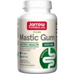 Jarrow Formulas Mastic Gum masticha 500 mg 60 rostlinných kapslí – Hledejceny.cz
