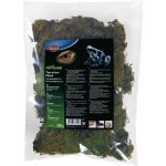 Trixie Reptiland mech do terária 200 g – Zboží Dáma