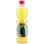 Stevikom Kombucha šípek 0,5 l – Zboží Dáma