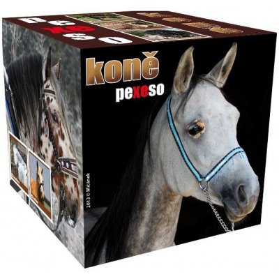 Pexeso box: Koně