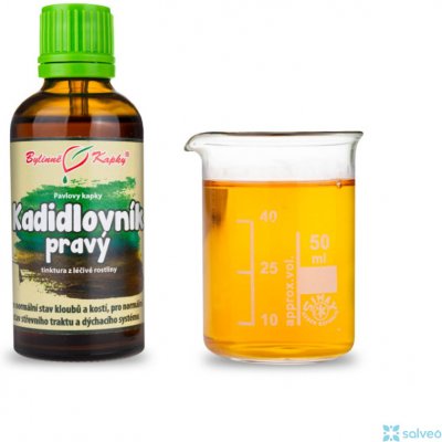 Bylinné kapky Kadidlovník pryskyřice tinktura 50 ml – Hledejceny.cz