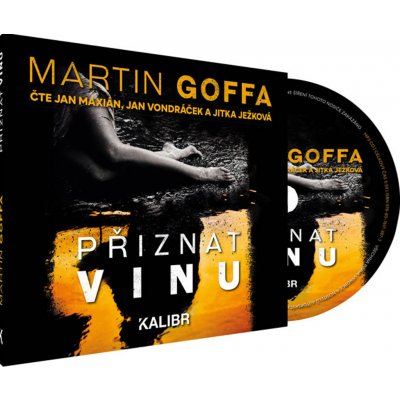 Přiznat vinu - Martin Goffa