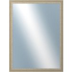 DANTIK LYON 60x80 cm stříbrná 2704 – Hledejceny.cz