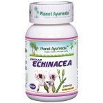 Planet Ayurveda Indická Echinacea extrakt 10:1 500 mg 60 kapslí – Hledejceny.cz